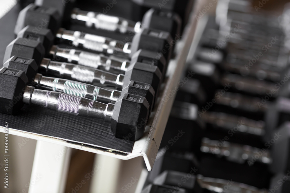 Naklejka premium A row of dumbbells on a rack in the gym.