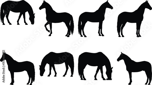 An extensive collection of eight detailed horse silhouettes, capturing a range of natural behaviors from gentle grazing to poised standing and walking, perfect for rural and animal-themed visuals.