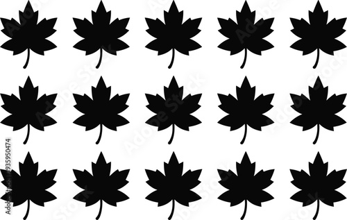Black Maple Leaf Silhouettes in a Repeating Pattern on White canada autumn