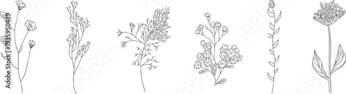 Six different types of line flowers with detailed petals and leaves line black and white