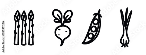 Hand Drawn Vegetable Icons Set, Doodle Style Fresh Produce Illustrations featuring Asparagus, Beet, Pea Pod, and Green Onion