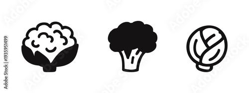 Hand-drawn vegetable icons set: cauliflower, broccoli, and cabbage illustrations in a simple style