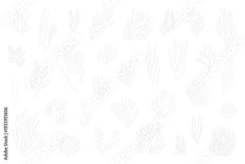 White silhouettes of various coral and underwater plants on a light background