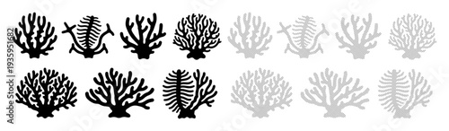 Collection of diverse coral silhouettes in black and grey tones, symbolizing marine life and ocean biodiversity.