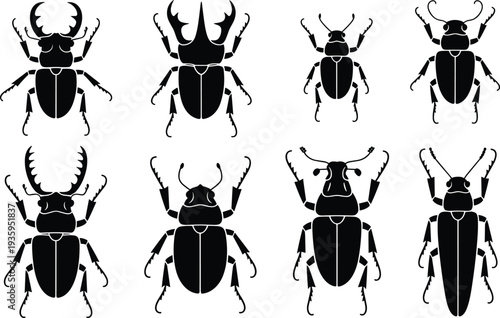 Collection of eight black silhouette insect illustrations on a white background beetle