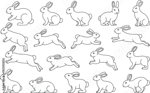 Collection of Hand- Drawn Rabbit Illustrations in Various Poses on White bunny animal