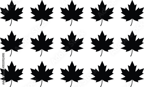 Repeating Pattern of Black Maple Leaf Silhouettes on White Background canada autumn