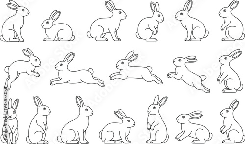 Set of Outline Rabbit Icons in Various Poses and Actions on a White Background Keywords: rabbit, bunny, hare, animal, outline, icon, set, collection, illustration, drawing, sketch, white