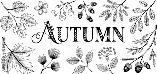 Vintage autumn leaves illustration with seasonal typography Vector