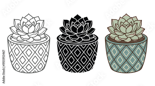 Succulent Plants in Decorative Potted Planters, Isolated on White Background, Vector Illustration
