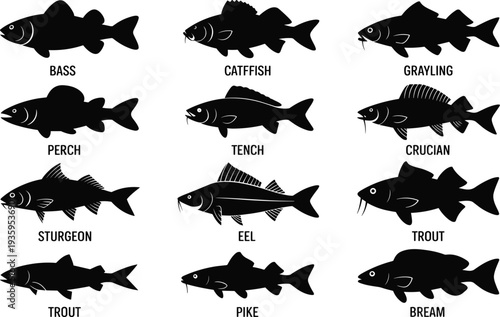 Silhouettes of nine different freshwater fish species with their names labeled bass catfish