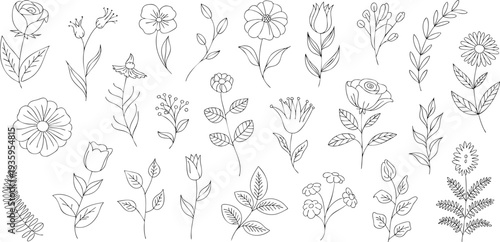 Set of minimalist floral patterns with dotted black and white illustrations Vector
