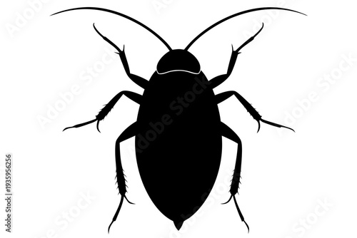 cockroach icon vector, cockroach silhouette vector, cockroach black symbol
