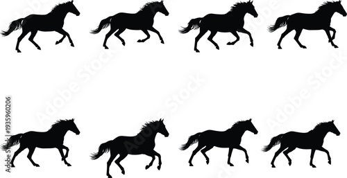 Dynamic black silhouettes of powerful horses in various running and trotting gaits, depicting movement and strength, isolated on white, ideal for equestrian themes.