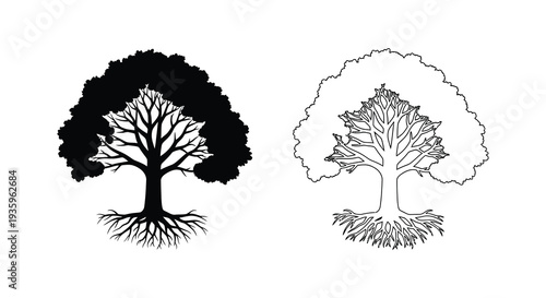 Two contrasting tree designs one solid black and one outlined showcasing botanical forms in a striking silhouette high quality professional detailed