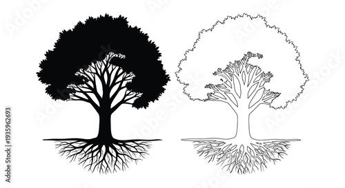 Two contrasting tree depictions one solid black and the other outlined showcase botanical forms in a minimalist style silhouette high quality