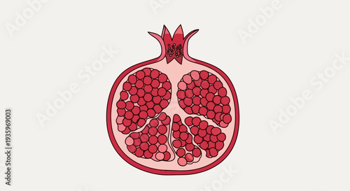 Pomegranate Fruit Cut Open Illustration.