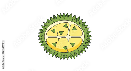 Durian Fruit Cut Open Showing Segments.