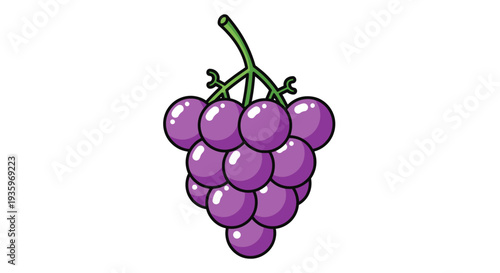 A bunch of purple grapes hanging.