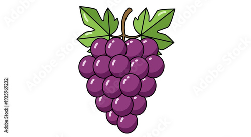 A bunch of purple grapes hanging.