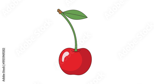 Fresh Red Cherry Fruit Single Stem.