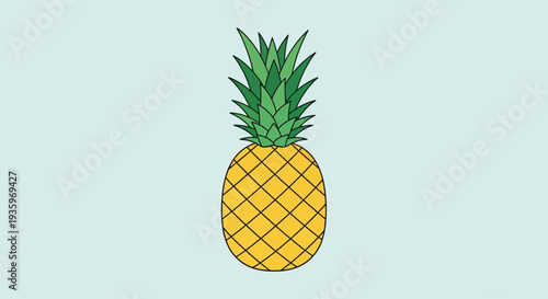 Fresh Pineapple Fruit Isolated On White.