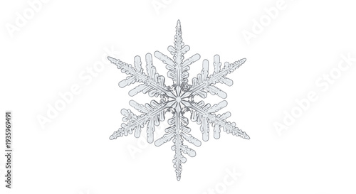 Detailed Crystal Snowflake Ice Crystal.