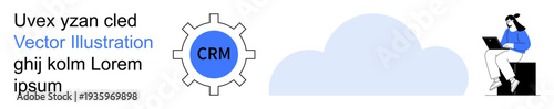 Business analytics, data management, cloud technology, workflow automation, CRM systems, software solutions. Gear labeled CRM, a cloud and a woman working on a laptop. Data management and CRM