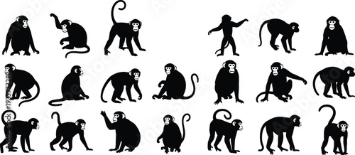 Monkey silhouette collection vector illustration different primate poses jungle animal wildlife set isolated on white background design