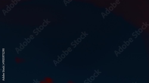 Slow motion flames in the fire box of a barbecue pit