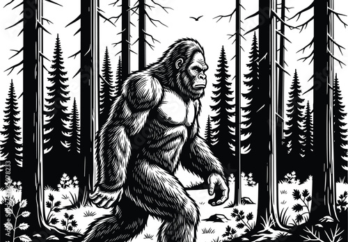 Bigfoot Sasquatch walking in forest mythical creature wilderness monster vector illustration cryptid legend isolated on white background