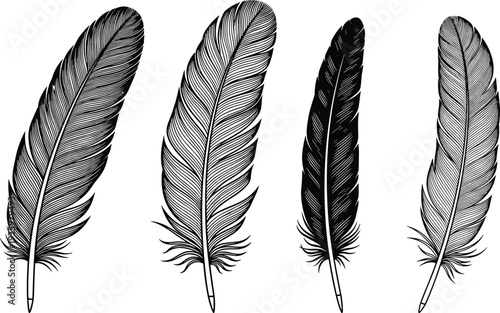 Hand drawn feather illustration set in vintage engraving style isolated black and white decorative plume vector collection
