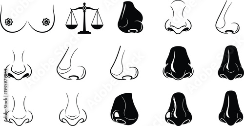 Human nose icons and anatomy silhouettes collection, different nose shapes front and side view medical vector illustration set