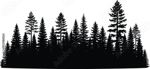 Pine forest silhouette landscape with evergreen trees, natural woodland horizon scene isolated, conifer forest nature vector illustration design