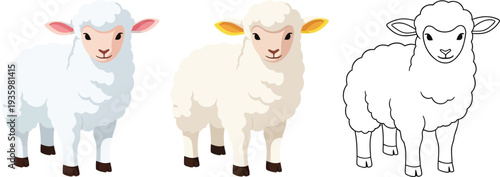 Sheep are depicted in three distinct styles: a fully colored illustration, a partially shaded version, and a clean outline drawing, all standing frontally on a plain white background.