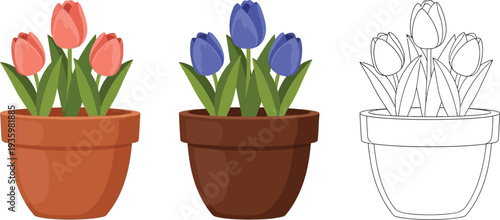 Two potted tulip flower arrangements, one featuring pink blooms and the other blue, are shown alongside a clear black and white outline version.