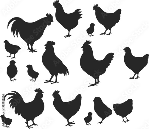 Chicken and rooster silhouette collection, farm poultry birds set, hen cock chick black vector illustration isolated on white background