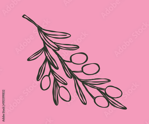 Whimsical doodle cute branch olives. Hand drawn Mediterranean illustration.