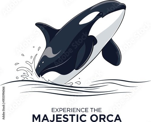 Majestic Orca Whale Jumping Out of Water Vector Illustration