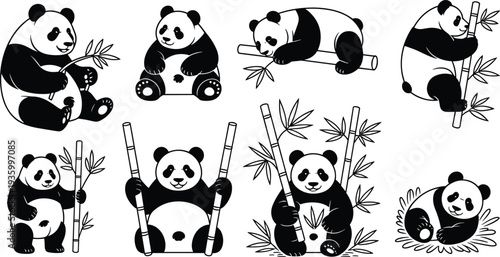 Set of cute panda bear silhouettes and illustrations, giant pandas with bamboo leaves, various animal poses for wildlife nature design.