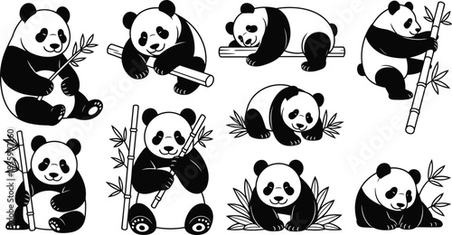 Set of cute panda bear illustrations and silhouettes, giant pandas with bamboo leaves, various animal poses for wildlife nature design.