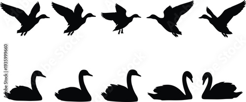Flying Ducks and Swimming Swans Silhouette Set, Waterfowl Bird Wildlife Collection, Nature Animals Vector Graphic for Lake and Pond Design