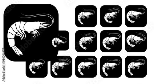 Collection of Shrimp Icons and Graphics on Black Background