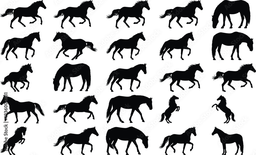 Fototapeta premium Group of black horse silhouettes displaying different gaits and postures, including rearing and grazing, isolated on a plain white background.