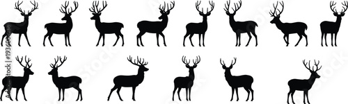 Black Deer Silhouette Vector Collection, Isolated Wild Reindeer and Buck Set with Large Antlers in Standing and Jumping Poses for Nature Wildlife Graphics