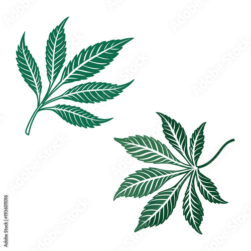 Hand-drawn Green Cannabis Leaves Illustration