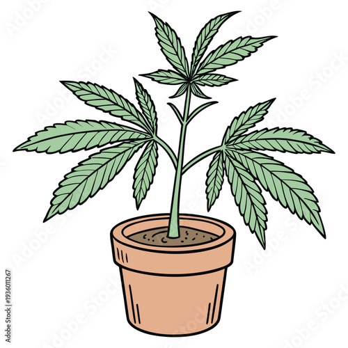 Hand-drawn cannabis plant in a pot
