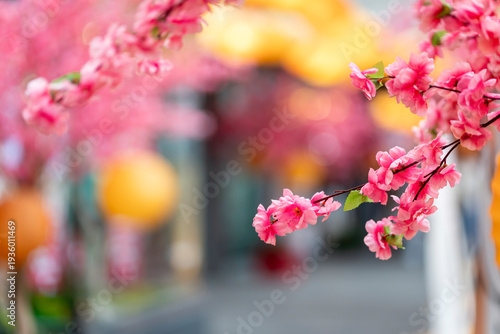 Pink cherry blossom decoration with lantern bokeh, Lunar new year celebration