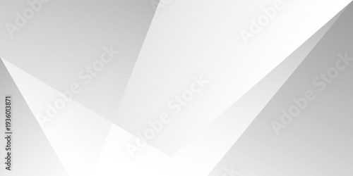 Abstract white and gray diagonal line vector background. texture white pattern	