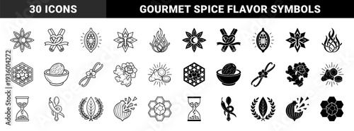 Hybrid spice and botanical symbols merging natural ingredients with geometric forms featuring star anise cinnamon cacao clove and vanilla motifs